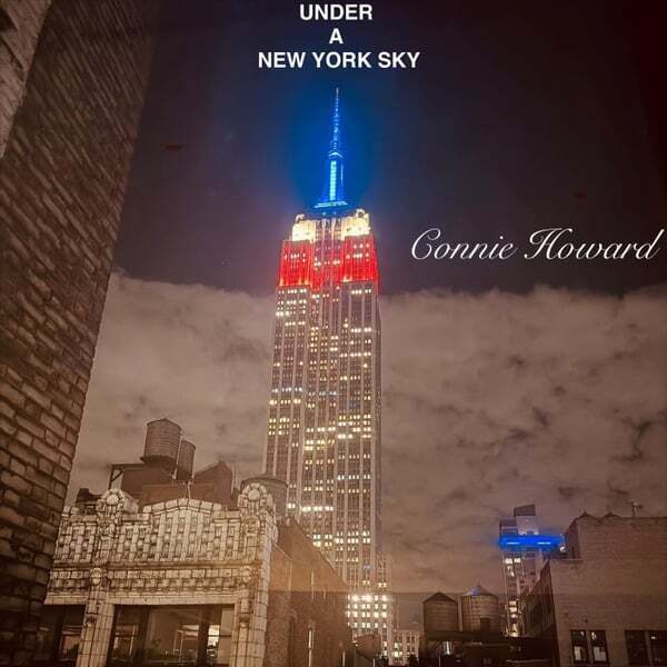 Cover art for Under a New York Sky