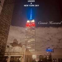 Under a New York Sky